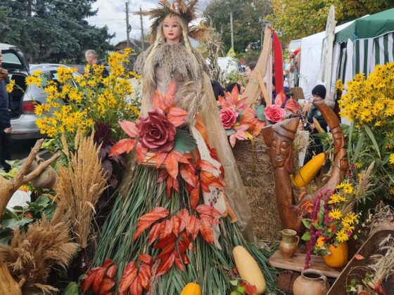 Festivalul ,, Toamna de Aur” Călărași 2025